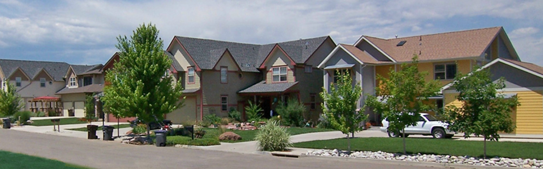Homes along a tree-lined neighborhood street